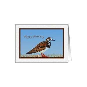  Birthday, Ruddy Turnstone Bird Card Health & Personal 