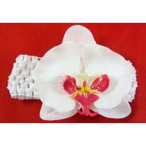  Baby/girls Orchid Headband (White) Beauty