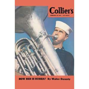  Navy Tuba Player   Poster by Colliers (12x18): Home 