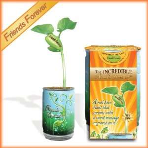  Friend Forever Plant   The Fantastic New Gift That Quickly 