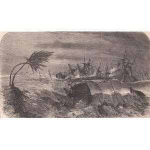   of The Cyclone at Calcutta, October 5, 1864 Single Page Engraving