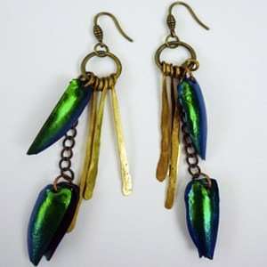  Rachel Paula Beetle Wing Earrings, 1 ea Jewelry