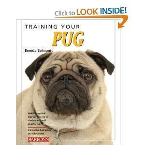   Your Pug (Training Your Dog) [Paperback] Brenda Belmonte Books