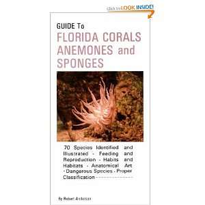  Guide to Florida Corals Anemones and Sponges (Guide to 