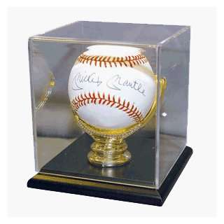  Baseball Deluxe Gold Glove Display Case: Sports & Outdoors