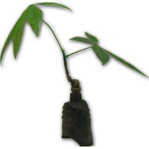  Myluckybamboo   Unique Miniature Money Tree in Ceramic 