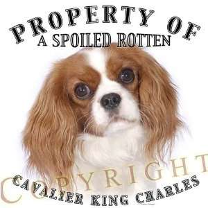  Cavalier King Charles BLEN dog breed THROW PILLOW 16 x 16 