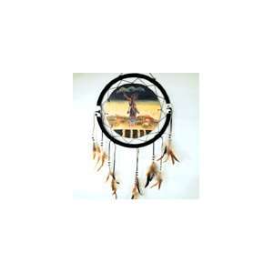  Painted Stone Warrior Chief Shield Dreamcatcher 