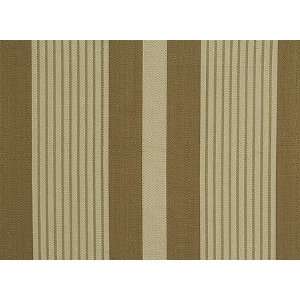  1578 Reagan in Khaki by Pindler Fabric