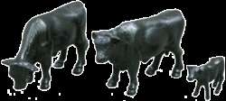 Ertl 1/64 Black Angus Cattle Cows & Calves (Bag of 25)  