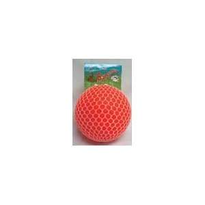  Jolly Pets Bounce N Play Orange 8 Dog Toy