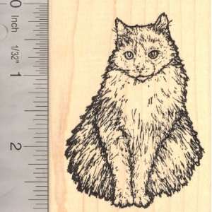  Domestic Long Hair Cat (Tara Storm) Rubber Stamp: Arts 