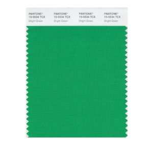  PANTONE SMART 15 5534X Color Swatch Card, Bright Green 