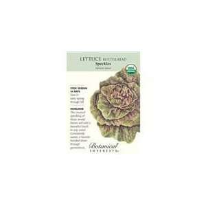  Botanical Interest   Lettuce Butterhead Speckles (Organic 