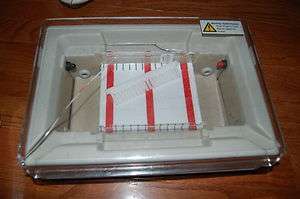 Gibco BRL Horizon horizontal gel electrophoresis submarine 11 14 