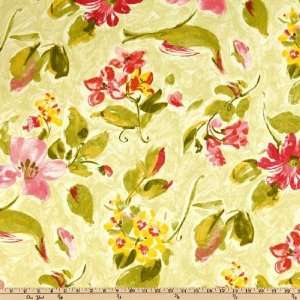  54 Wide Cadencia Tropic Fabric By The Yard Arts, Crafts 