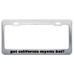 Got California Myotis Bat? Animals Pets Metal License Plate Frame 