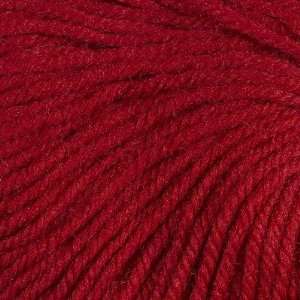  Cascade Yarns 220 Superwash [Ruby]: Arts, Crafts & Sewing