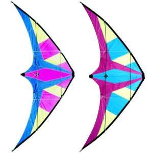    2 Dual Line Control 81 Stunt Kite Sport Kites: Everything Else