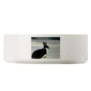  Look Out Nature Large Pet Bowl by CafePress: Pet Supplies