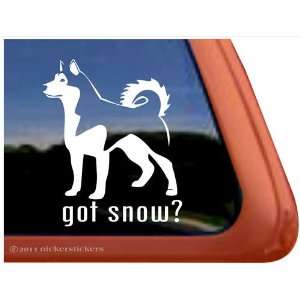   Got Snow? Alaskan Malamute Vinyl Window Decal Sticker: Automotive