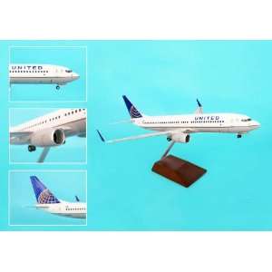   : Skymarks United 737 800 1/100 Post Co Merger Livery: Home & Kitchen