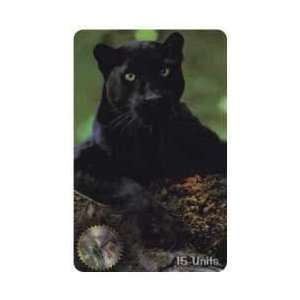   Card 15u Black Panther Staring (Photo) SPECIMEN 