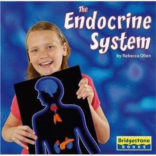 The Endocrine System (Bridgestone Books) by Olien and Rebecca (Jan 1 