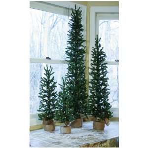  Slim Pine Trees with Clear Lights: Home & Kitchen