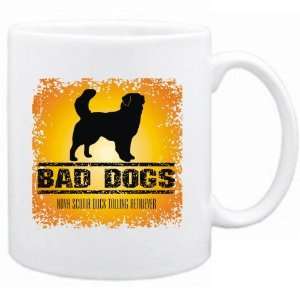   Bad Dogs Nova Scotia Duck Tolling Retriever  Mug Dog