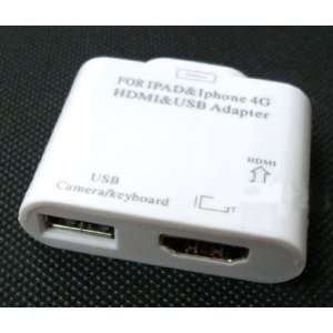   HDMI USB Female Port Adapter Connector for Apple iPad 2: Electronics