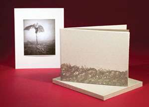 THE BOOK OF LIFE, by Robert & Shana Parkeharrison, DLE  