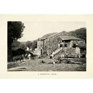 1915 Print Minho Portugal Farmhouse Cattle Livestock Agriculture 