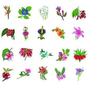  Embroidery Machine Designs EXOTIC FLOWERS Kitchen 