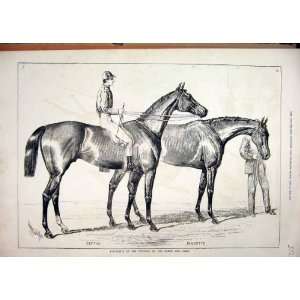   1878 Portraits Winner Derby Oaks Sefton Jannette Print
