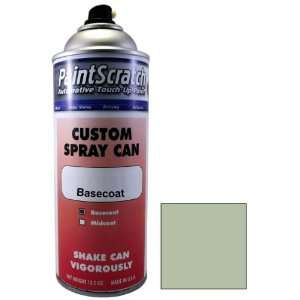  12.5 Oz. Spray Can of Scotch Green Poly Touch Up Paint for 