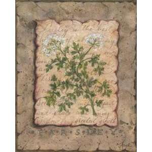  Vintage Herbs Parsley (Canv)    Print