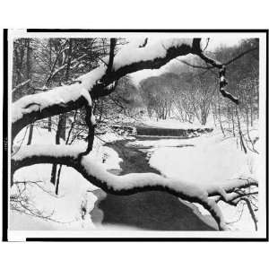 Snow scene,Rock Creek Park, Washington, DC 1900s 