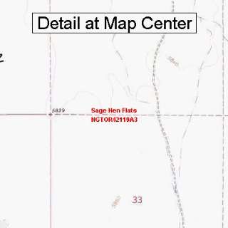  USGS Topographic Quadrangle Map   Sage Hen Flats, Oregon 