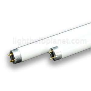 32W FluorescentT8 800 Series   Soft White 3500K F32T8/835 