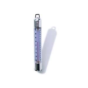    Deluxe Chrome Thermometer for Swimming Pools