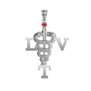   NursingPin   Licensed Vet Tech LVT Charm with Ruby in Silver Jewelry