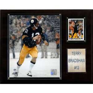  NFL Terry Bradshaw Pittsburgh Steelers Player Plaque: Home 