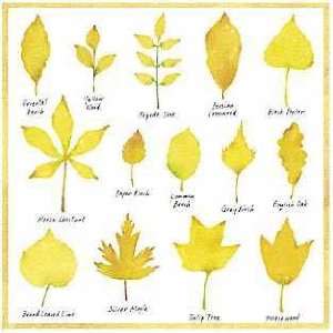  Hiromi Kawada   Yellow Leaves Canvas: Home & Kitchen