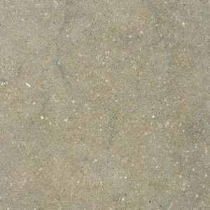  Sea Grass Limestone 12x12 Honed