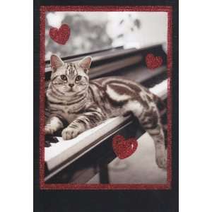  Greeting Card   Valentines Day Hope Your Valentines Day 