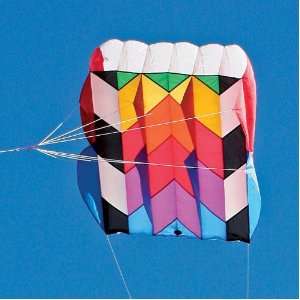  Into The Wind Parafoil 10 Kite Toys & Games