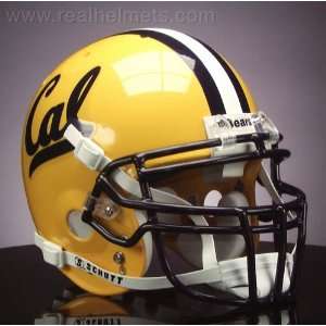  CALIFORNIA GOLDEN BEARS 1981 GAMEDAY Football Helmet 