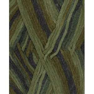    Berroco Comfort Colors Yarn 9839 Maine Woods Arts, Crafts & Sewing