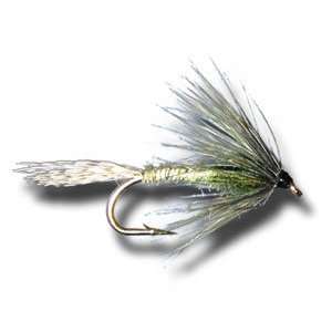  Green Drake Soft Hackle Fly Fishing Fly: Sports & Outdoors